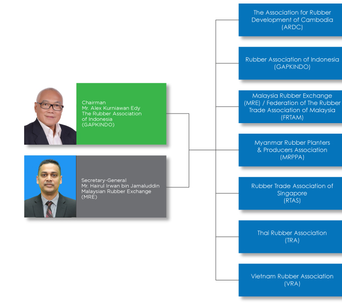 Organizational Structure