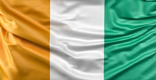 Ivory Coast ranks fourth globally in rubber production