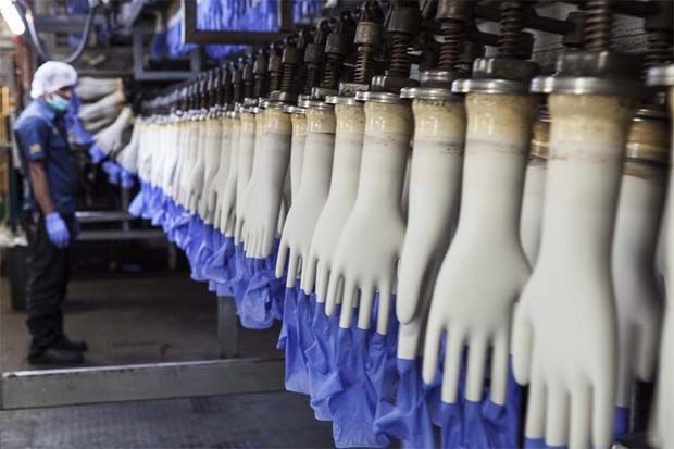 Glove stocks jump as hantavirus, improving outlook renews interest